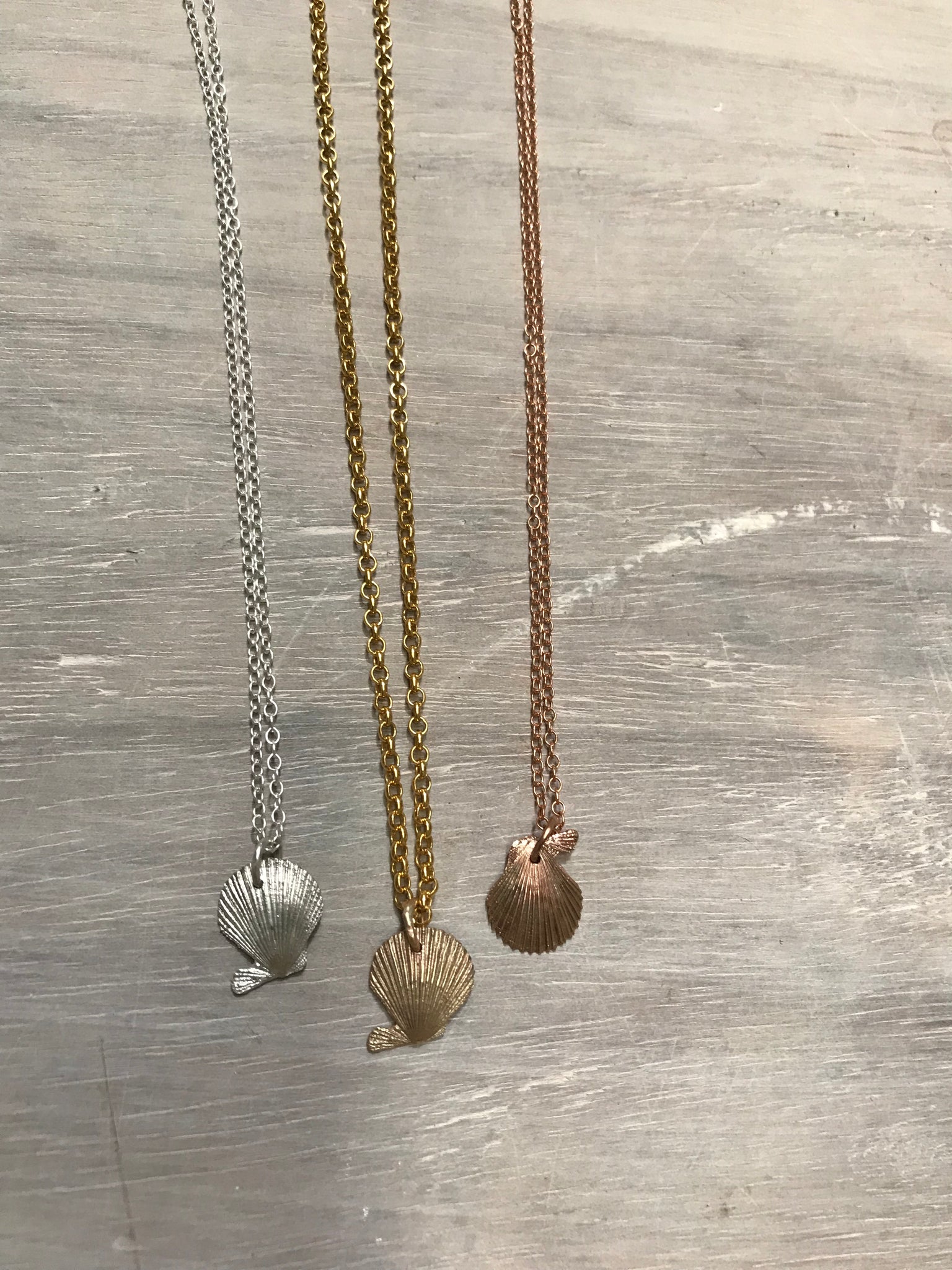 Real clam 2025 shell necklace